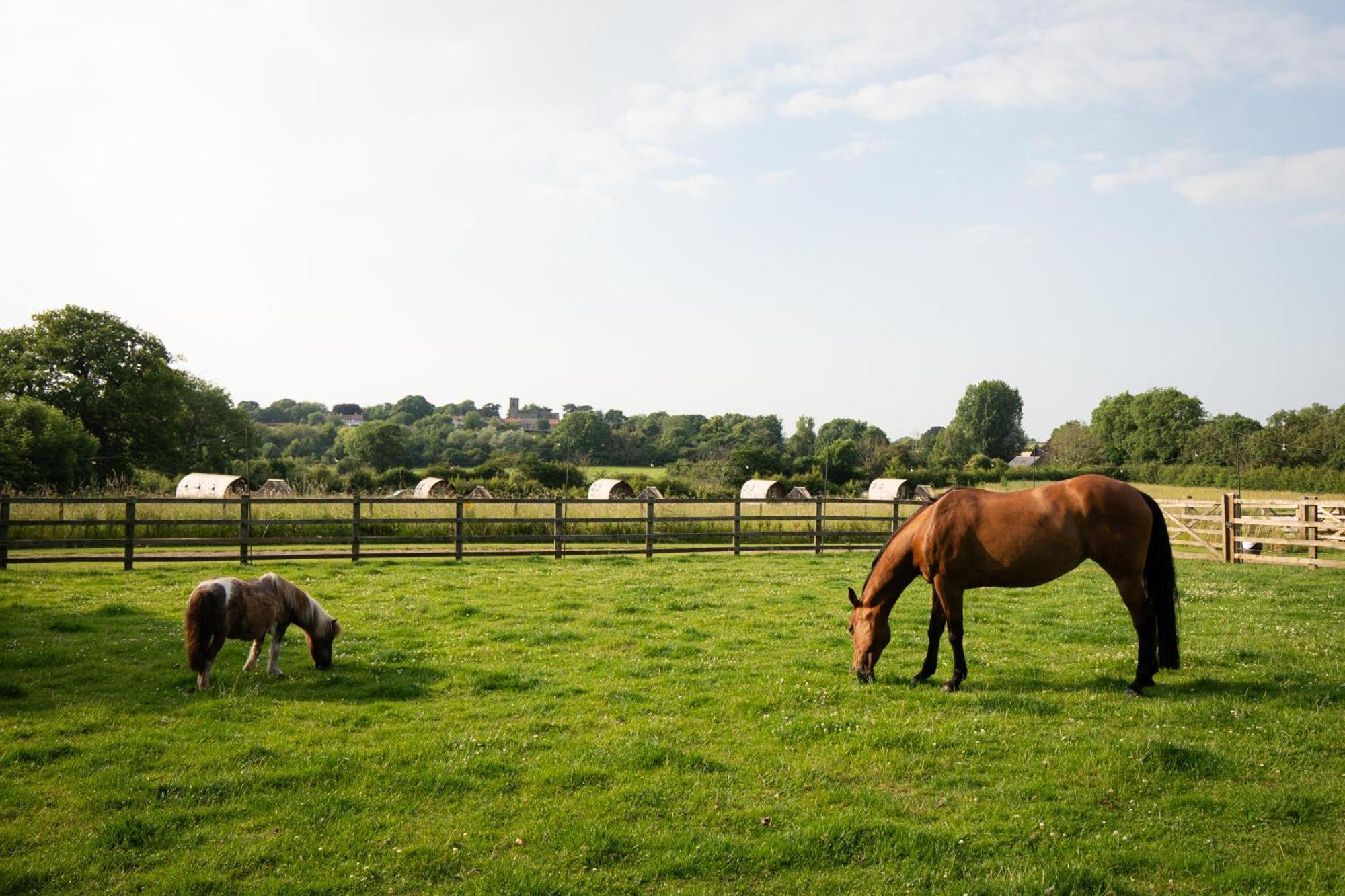 Sedgewell Barn By Wigwam Holidays Northallerton Esterno foto
