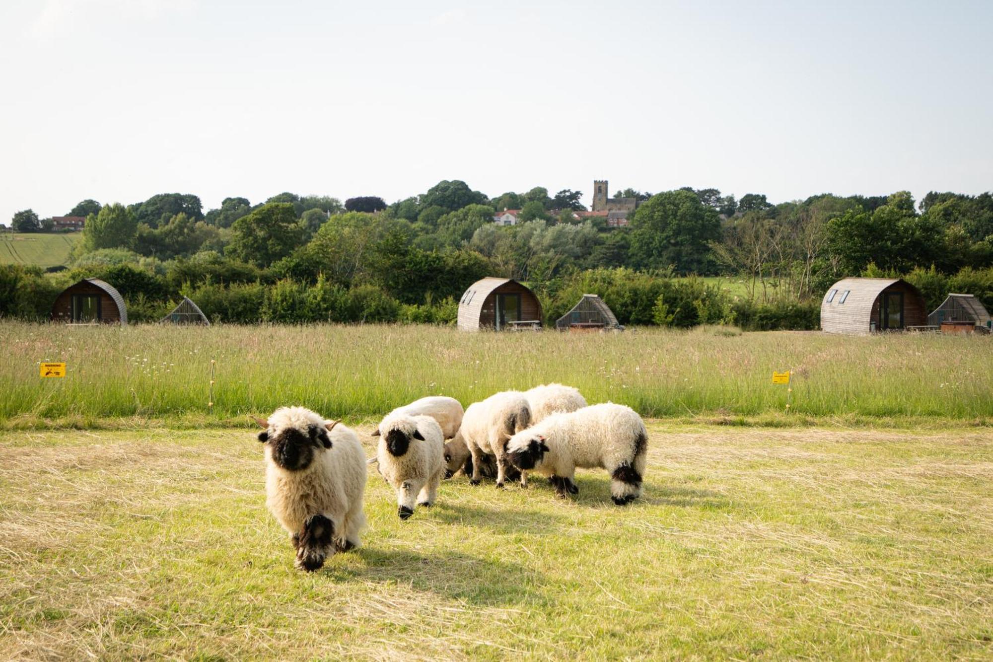 Sedgewell Barn By Wigwam Holidays Northallerton Esterno foto